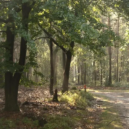In Near Veluwe Nature Voorthuizen