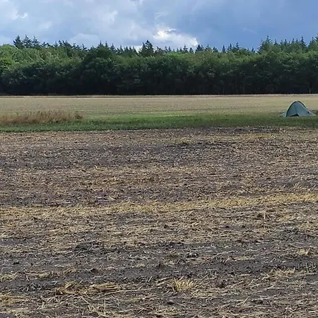 In Near Veluwe Nature Casa vacanze Voorthuizen