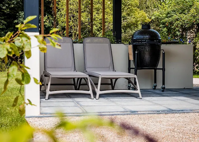 In Near Veluwe Nature