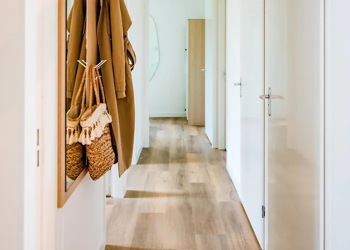 In Near Veluwe Nature