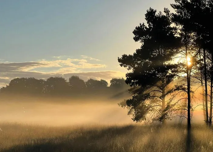 In Near Veluwe Nature Dom wakacyjny Voorthuizen