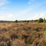 In Near Veluwe Nature