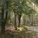 In Near Veluwe Nature فورتهاوزن