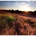 In Near Veluwe Nature بيت للعطل *