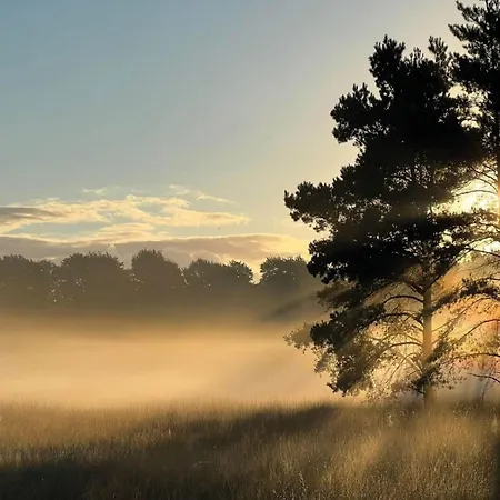 In Near Veluwe Nature Prázdninový dům Voorthuizen