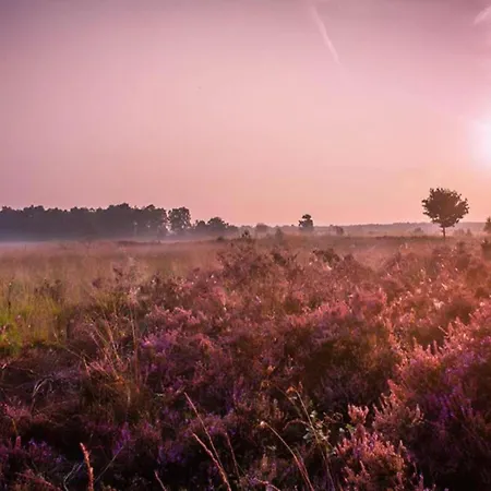 Prázdninový dům In Near Veluwe Nature Voorthuizen