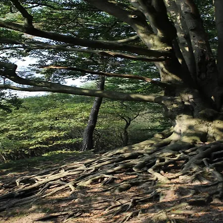 In Near Veluwe Nature Prázdninový dům *