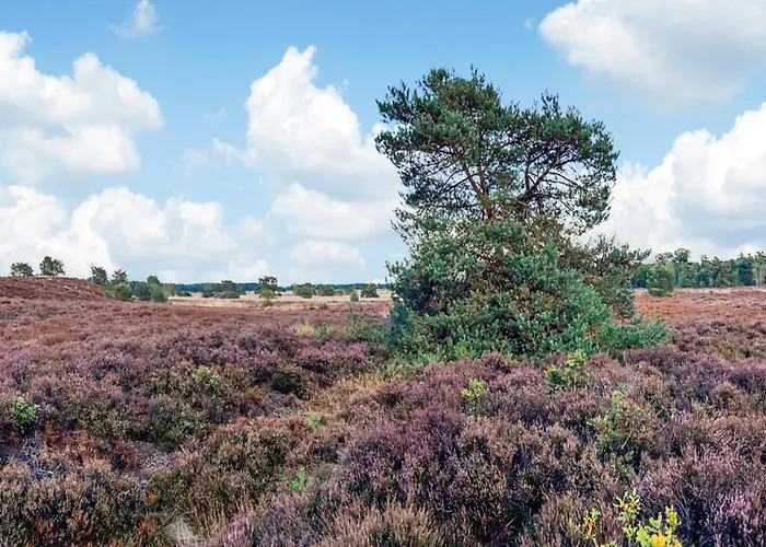 In Near Veluwe Nature Prázdninový dům *