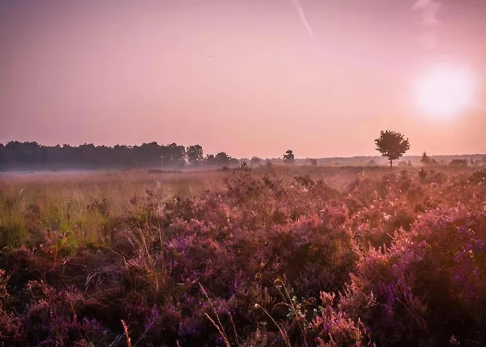 Prázdninový dům In Near Veluwe Nature Voorthuizen