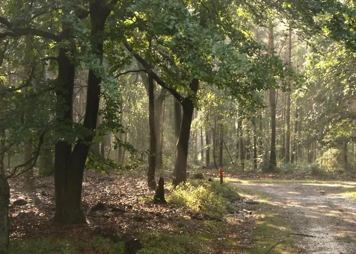In Near Veluwe Nature Voorthuizen