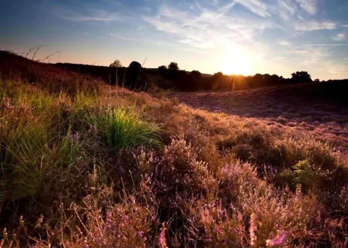 In Near Veluwe Nature Prázdninový dům *