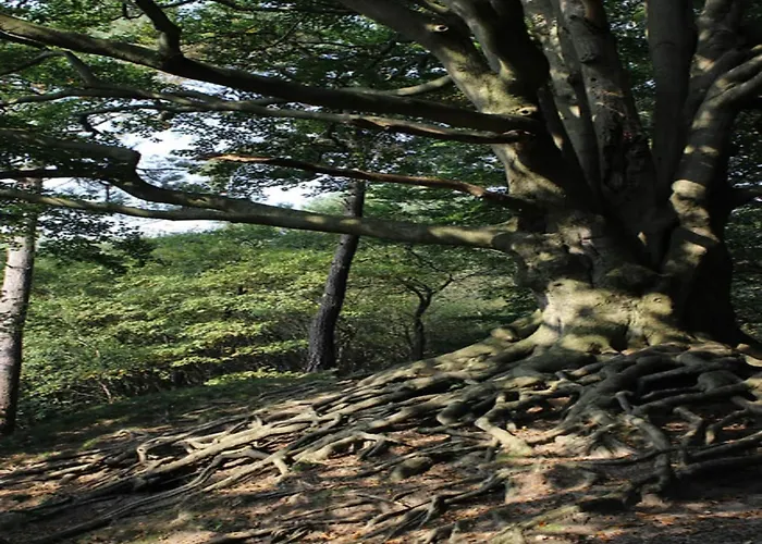 In Near Veluwe Nature Prázdninový dům *