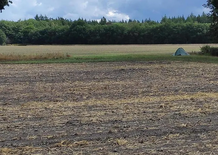 In Near Veluwe Nature Prázdninový dům Voorthuizen